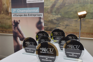 champ_europe_echecs_entreprises-®ch_perrucon_mairie_asnieres (116)